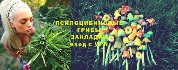 герыч Няндома