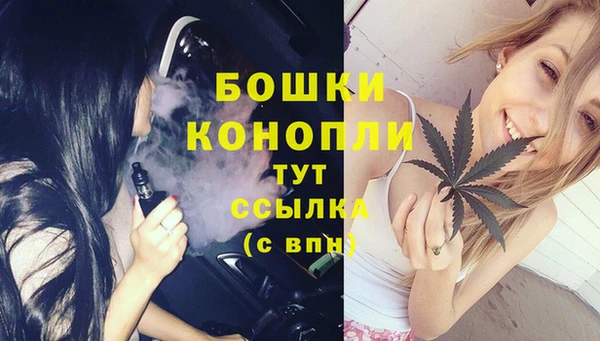 эйфоретик Новокубанск
