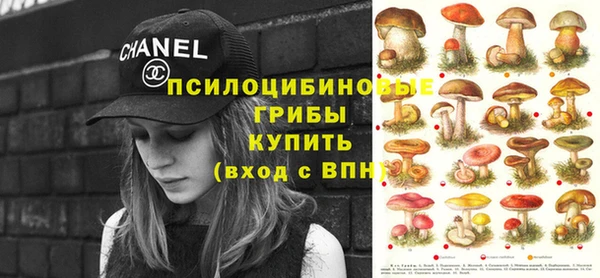 кокаин колумбия Новозыбков