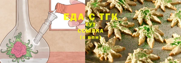 индика Богородицк