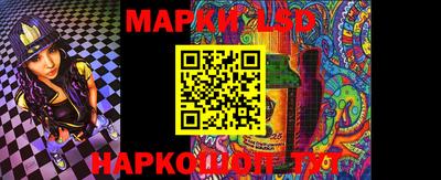 стафф Гатчина