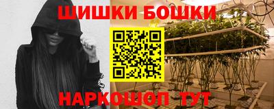 PSILOCYBIN Гай