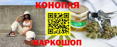 стафф Гатчина