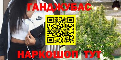 PSILOCYBIN Гай