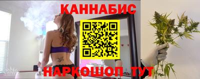 стафф Гатчина