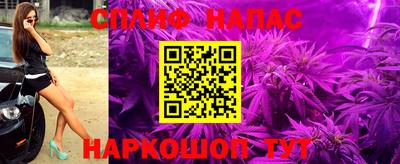 стафф Гатчина