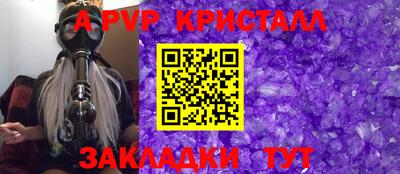 стафф Гатчина