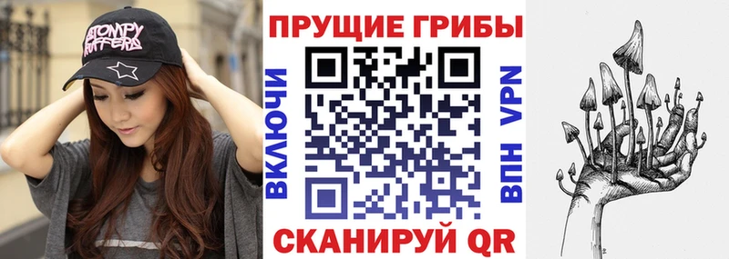 даркнет сайт  Каспийск  Псилоцибиновые грибы мицелий 