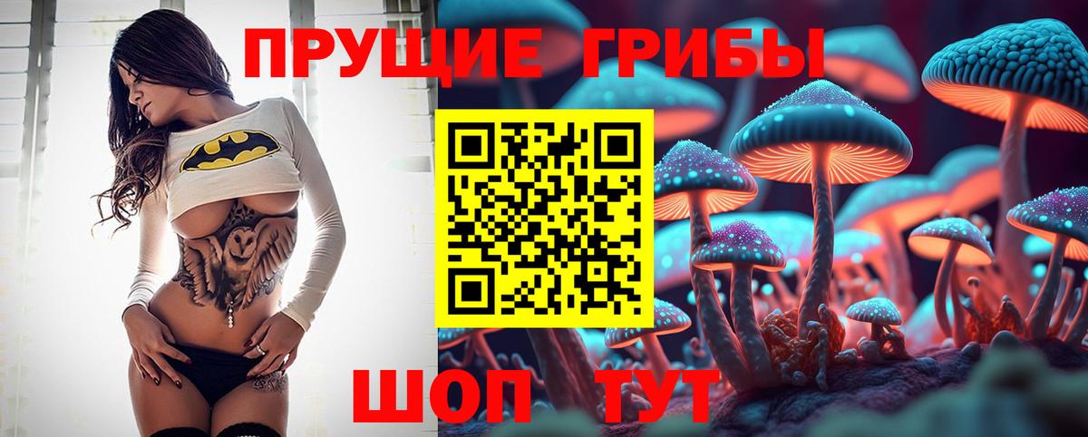 Каспийск  Псилоцибиновые грибы Psilocybine cubensis  Вход с VPN 